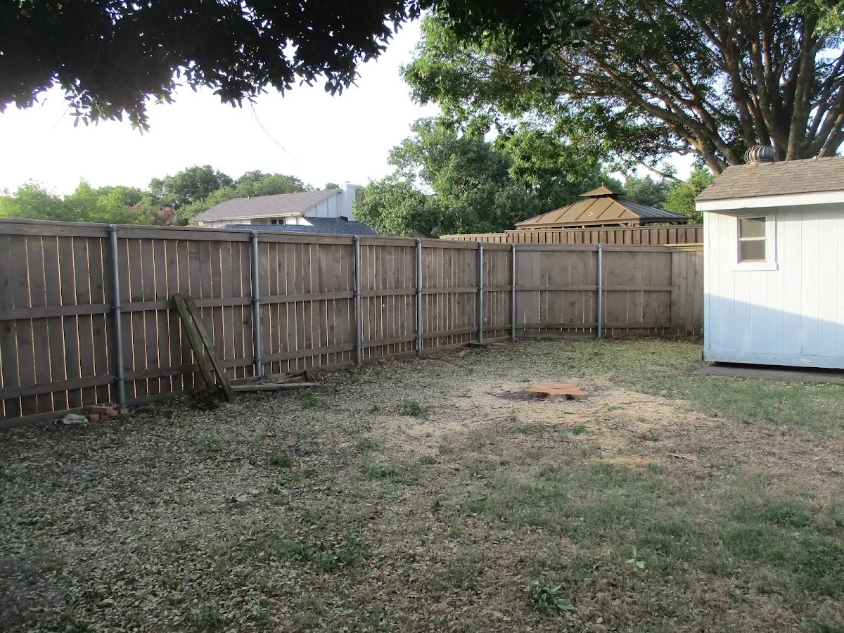 Cleared yard after professional tree removal in Wabasso